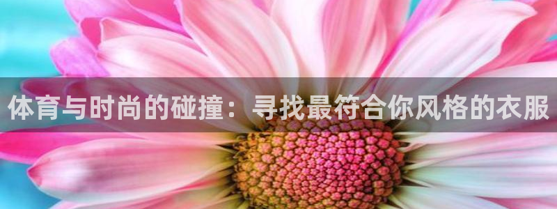 51视频在线直播nba