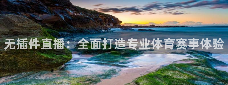 51视频在线直播nba