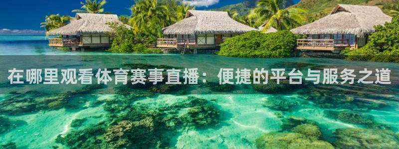 51视频在线直播nba