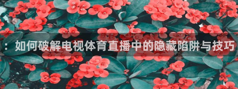 51视频在线直播nba
