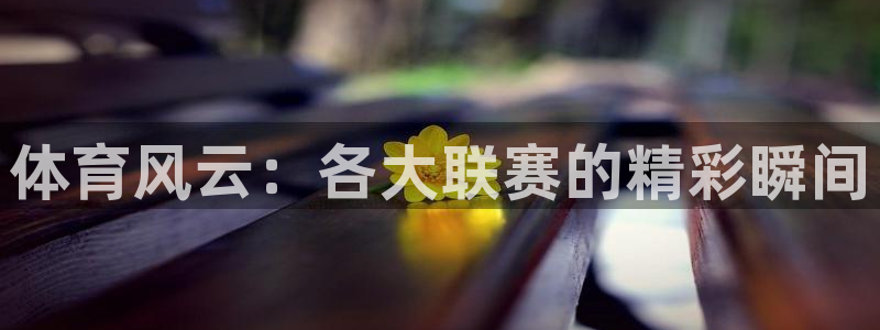 51视频在线直播nba：体育风云：各大联赛的精彩瞬间