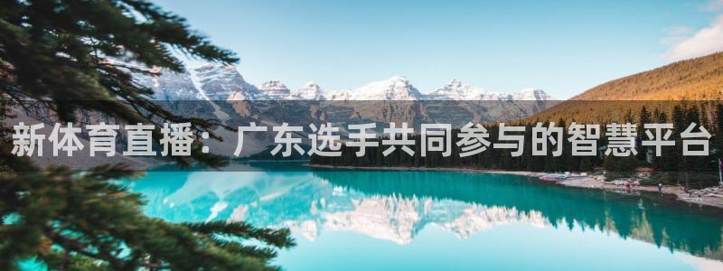 51视频在线直播nba：新体育直播：广东选手共同参与的智慧平台