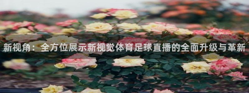 51视频在线直播nba：新视角：全方位展示新视觉体育足球直播的全面升级与革新