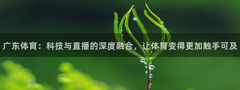 51视频在线直播nba：广东体育：科技与直播的深度融合，让体育变得更加触手可及