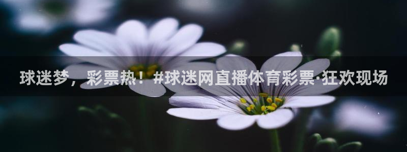 51视频在线直播nba：球迷梦，彩票热！#球迷网直播体育彩票·狂欢现场