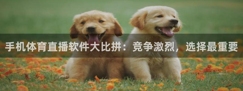 51视频在线直播nba：手机体育直播软件大比拼：竞争激烈，选择最重要