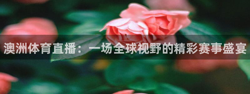 51视频在线直播nba：澳洲体育直播：一场全球视野的精彩赛事盛宴