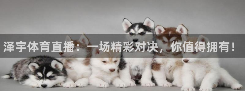 51视频在线直播nba：泽宇体育直播：一场精彩对决，你值得拥有！